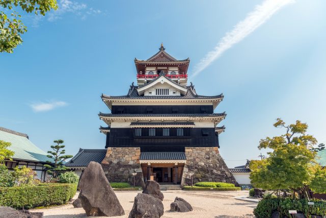 知識は体験をより深めるために必須であり、その結果成長が早くなる